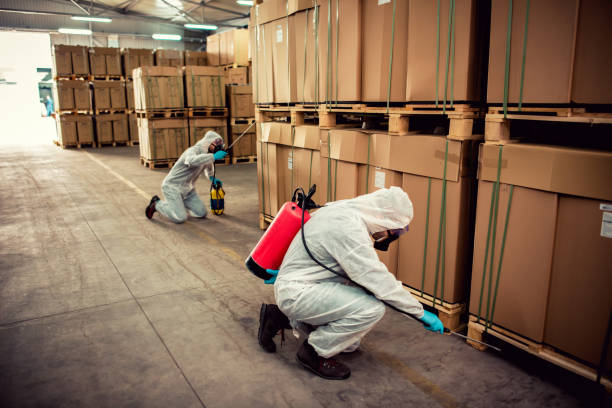 Best Mosquito Control Services  in Lexington, NC