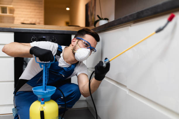 Best Rat Extermination Near Me  in Lexington, NC