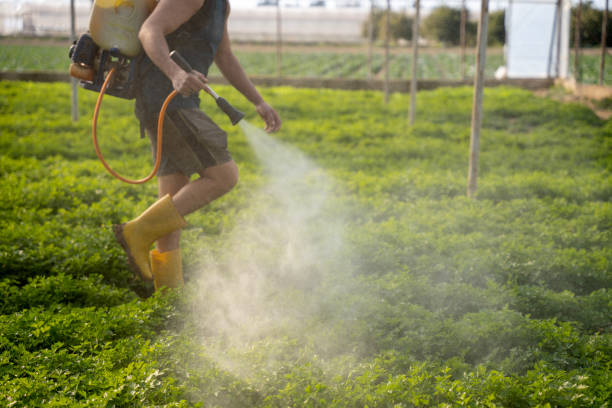 Best Affordable Pest Control Services  in Lexington, NC