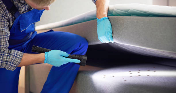 Professional Pest Control in Lexington, NC