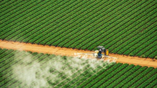 Best Pest Control for Homes  in Lexington, NC